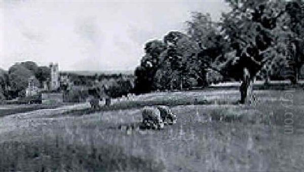 Sheep Grazing In An Extensive Landscape With A Village Beyond - view 1