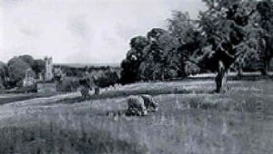 Sheep Grazing In An Extensive Landscape With A Village Beyond by Arthur William Redgate