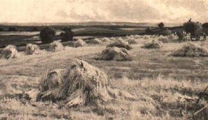 Loading The Hay