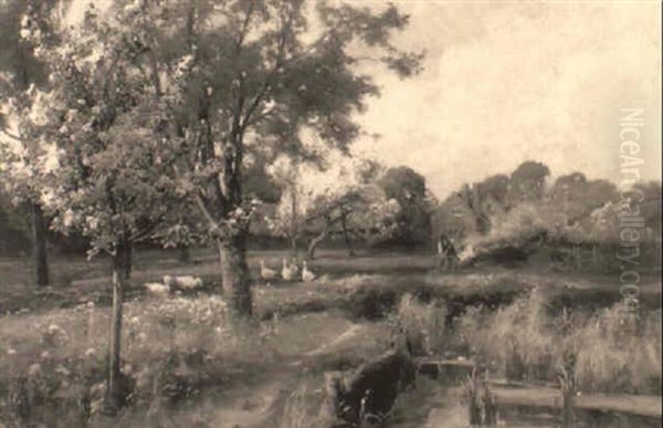 The First Day Of Spring - view 1