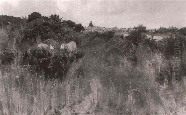 Heathland Scene - view 1