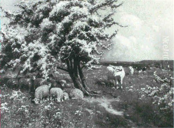 Summer Pastures - view 1
