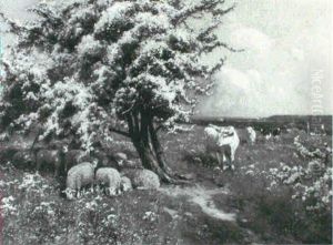 Summer Pastures Summer Pastures