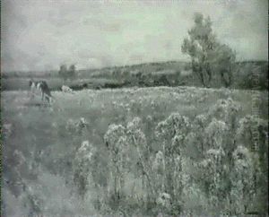 Summer Pasture Summer Pasture