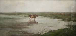 Lluvia En Tristan Suarez by Decoroso Bonifanti
