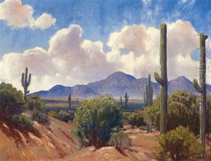 Saguaros And Mountains