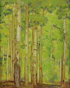 Aspens In Springtime Aspens In Springtime