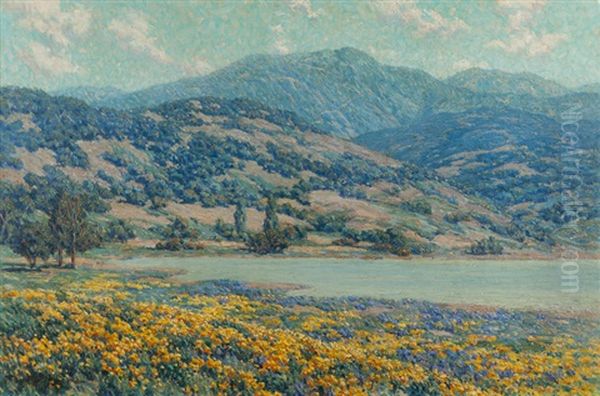 California Landscape With Poppies - view 1