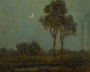 Evening Moonlight Evening Moonlight