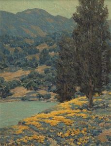 Lake In A Poppy And Lupine Landscape