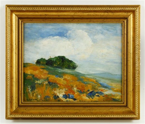 California Landscape - view 1