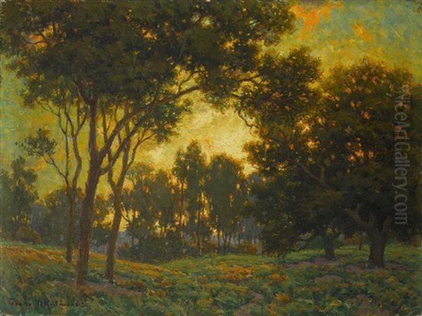 Sunset Through The Trees - view 1
