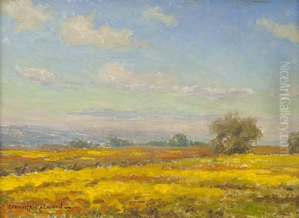 Sunny Day Over Poppy-filled Landscape - view 1