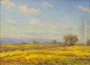 Sunny Day Over Poppy-filled Landscape
