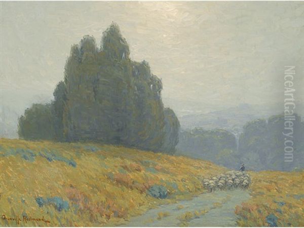 Shepard And His Flock In The California Hills - view 1