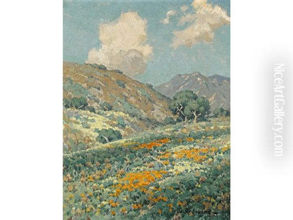 Rolling Hills With Wildflowers - view 1