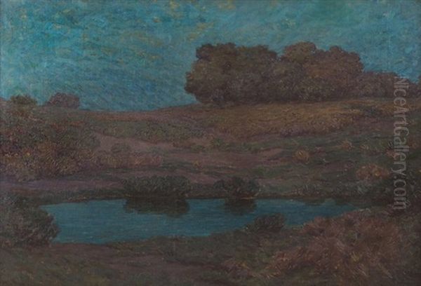 Nocturnal Landscape - view 1