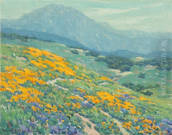 Poppies And Lupine In A California Landscape - view 1