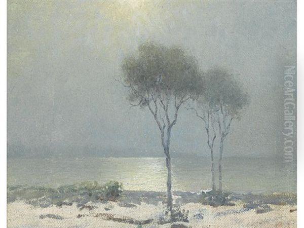 Moonlit Shore With Eucalyptus - view 1