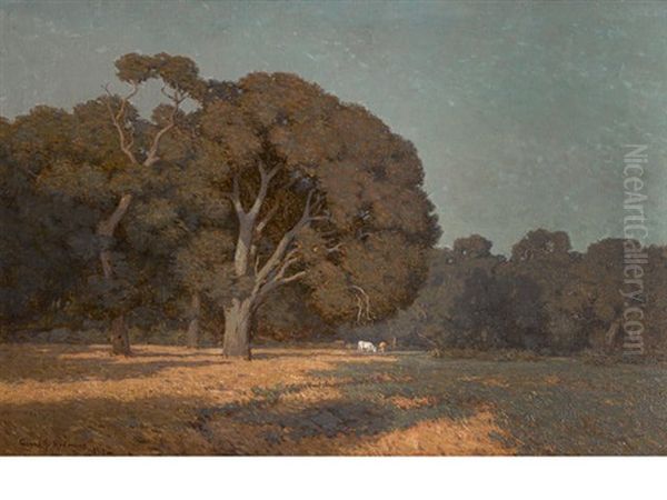 In The Afternoon, Menlo Park, California - view 1
