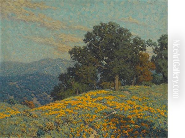 Annandale Wildflowers - view 1