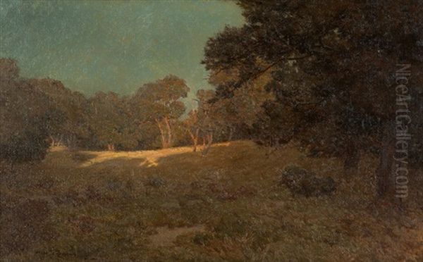 Sunset, Oaks In California Landscape - view 1