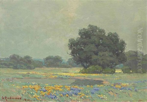Landscape - view 1