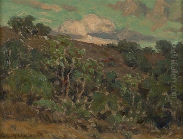 Trees In A Hillside Landscape - view 1