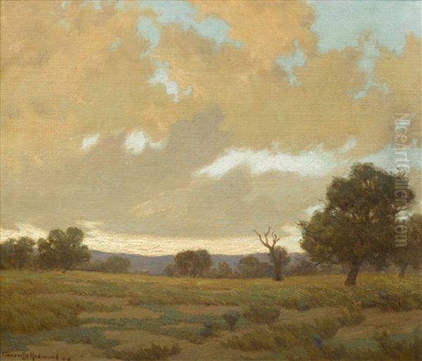 Clouds Gathering Above A Marin Landscape - view 1