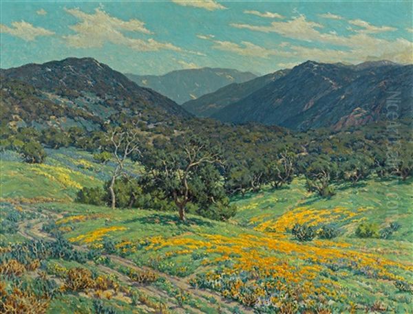 Spring In Southern California - view 1