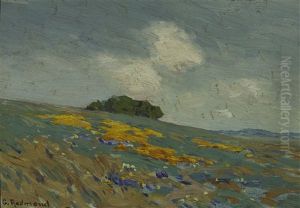 California Wildflowers by Granville S. Redmond