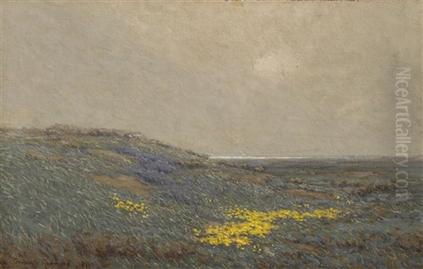 Coastal Wildflowers - view 1