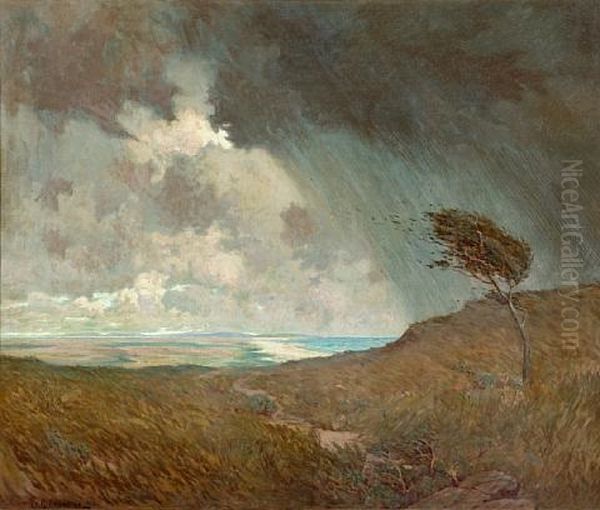Coastal Storm - view 1