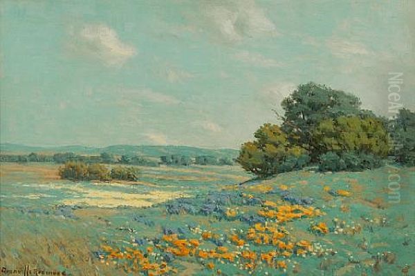 California Poppy Field - view 1