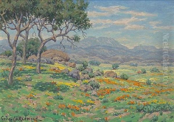California Wildflowers In An Extensive Landscape - view 1