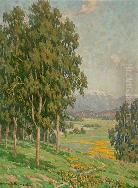 California Wildflowers And Distant Snow-capped Mountains - view 1