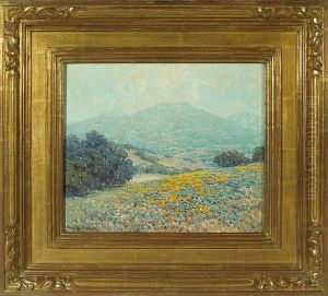 Poppy Landscape