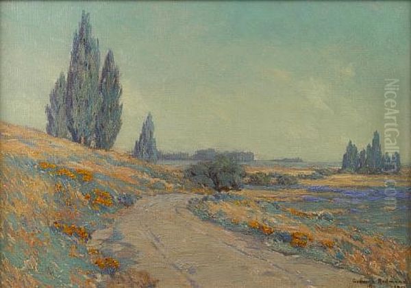 Road Through A Field Of Wildflowers - view 1