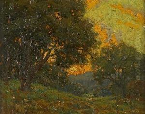 Sunset Beyond The Trees