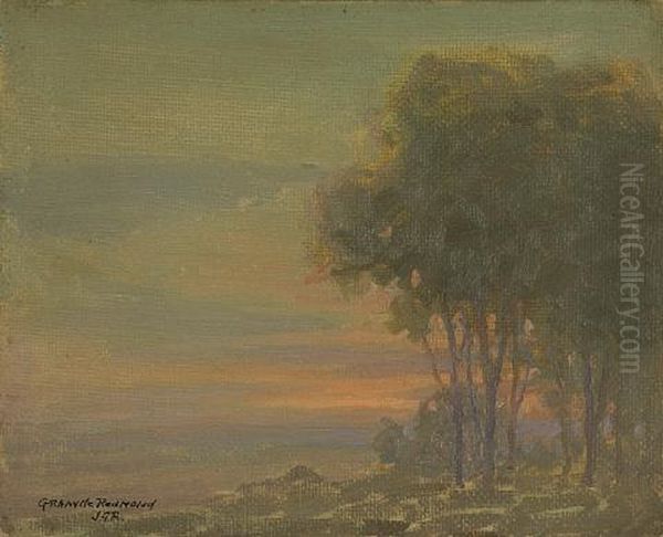 Coastal Trees On A Misty Evening - view 1
