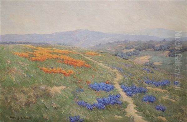 Lupines And Poppies - view 1
