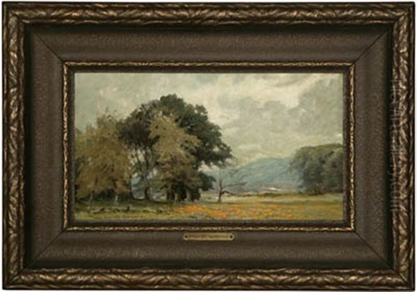 San Mateo - view 1