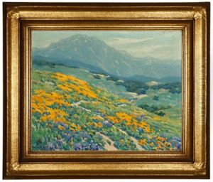 Poppies And Lupine In A California Landscape