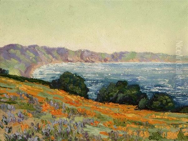 Lupine And Poppies, Central Coast, California - view 1