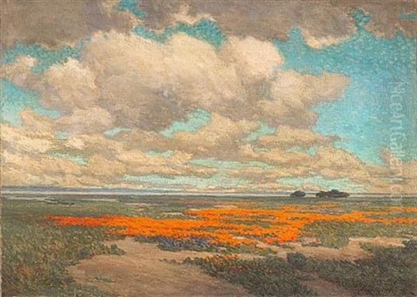 A Field Of California Poppies - view 1