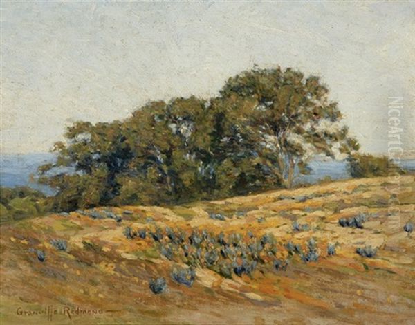 Oak Trees And Poppies In A California Coastal Landscape - view 1