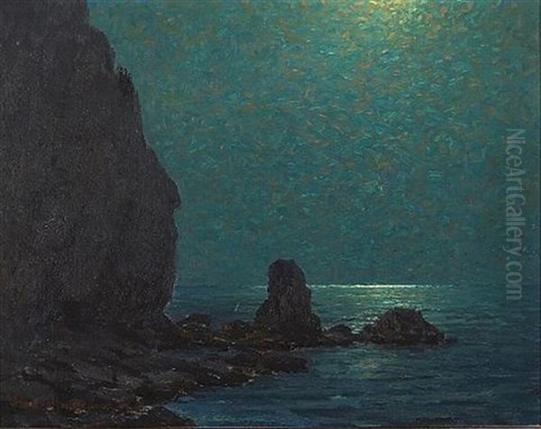 Catalina Island Coast Under A Moonlit Sky - view 1
