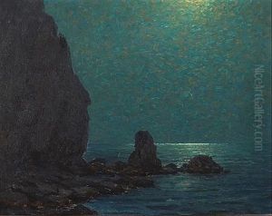 Catalina Island Coast Under A Moonlit Sky