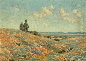 Poppies And Lupine In Atmospheric Landscape