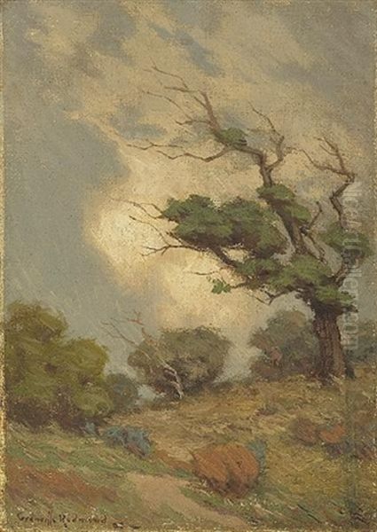 Before The Storm - view 1